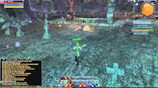 Busted RaiderZ Bot