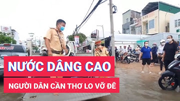 Nước dâng cao kỷ lục, người dân Cần Thơ lo vỡ đê bao