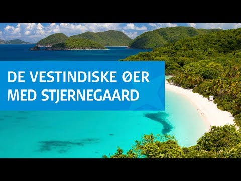 Video: De bedste caribiske øer at besøge