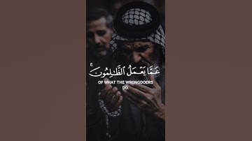 سورة الحجر آية ٤٢ Surah Al-Hijr verse 42 #imammahdi313 #لبيك_يا_قائم_ال_محمد
