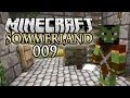 Youtube Thumbnail MINECRAFT: SOMMERLAND #009 - Eine kleine Rundreise [HD+] | Let's Play Minecraft Sommerland