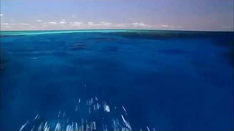 سورة الفاتحة وآية الكرسي والمعوذات والكافرون مكررة