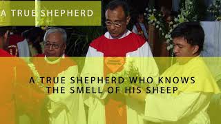 Ruby Jubilee of Ordination to the Priesthood celebrated at Divine Mercy Church on 7/11/2017