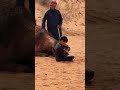 النايفه الشرارات