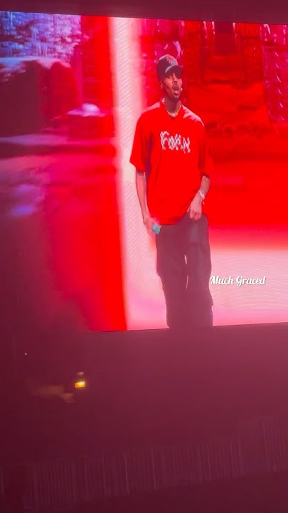 Chris Brown Live ATL Tycoon Music Festival 2.13.24 - You Got It Girl