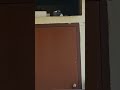 pigeon🐦🐦🐦😍👍❤🙏#trending #birds #subscribe #viralvideo