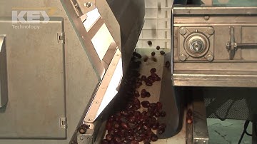 Grading Dates on Optyx® 6000 Laser / Camera Sorter