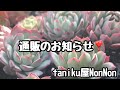 通販のお知らせ❣️
