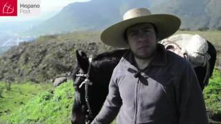 El arriero chileno: Cultura en extinción