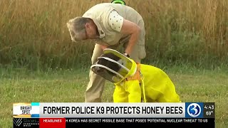 BRIGHT SPOT: Former police K9 protects honey bees - YouTube