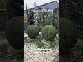 Satisfying Gardening Work🌳#garden #satisfying #cleaning #grass #lawn #viral #fyp #trending #425