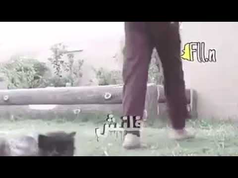 جزاء الثنيان 