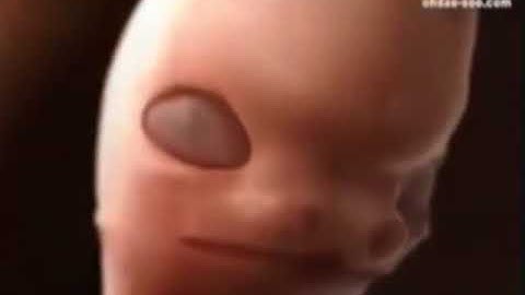 من سورة الانسان بصوت خالد القحطاني    تلاوة رائعة