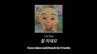 Tresno tekane mati(Slowed)-Iky ft Cantika