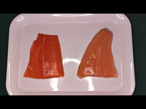 वीडियो: क्या सैल्मन ट्राउट सैल्मन जैसा ही है?