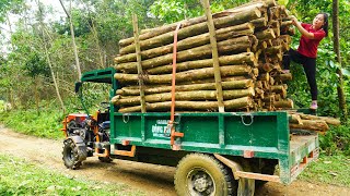 Timelapse  60 Days Building Stone Farm, Build House For Rabbit, Dog and Cat | Daily Farm