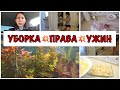 ПРО ДТП / БЫСТРАЯ УБОРКА / ВКУСНЫЙ УЖИН / БУДНИ МАМЫ ВЛОГ