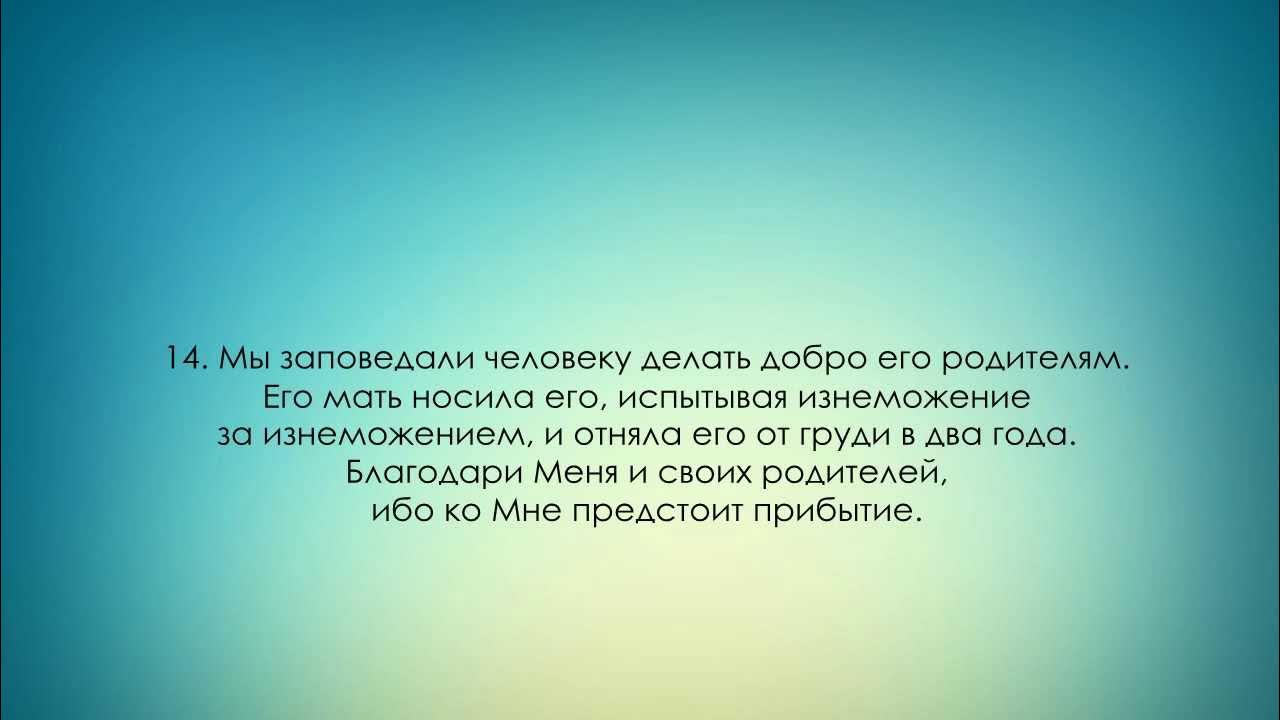 Qanchalik keksalar yigitlarni aldashdi