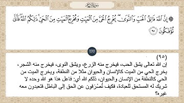 ( إن الله فالق الحب والنوى يخرج الحي من الميت ومخرج الميت من الحي ذلكم... ) سورة الأنعام ايه رقم 95