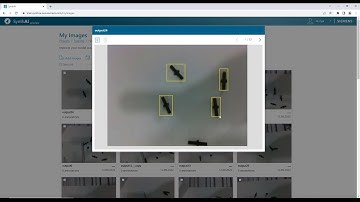 SynthAI Demo #2: Combine synthetic data with real images to annotate and improve model’s accuracy