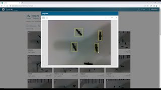 SynthAI Demo #2: Combine synthetic data with real images to annotate and improve model’s accuracy