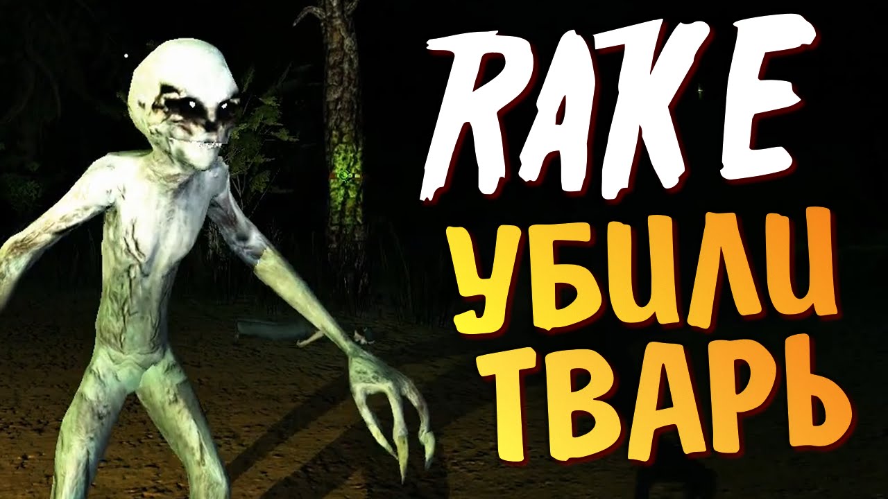 Rake multiplayer