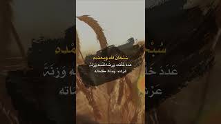 سبحان الله وبحمده عدد خلقه ورضا نفسه وزنة عرشه ومداد كلماته