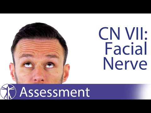 Cranial Nerve 7 | Facial Nerve Assessment for Physiotherapists