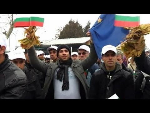 خشم تولید کنندگان توتون و تنباکو در بلغارستان