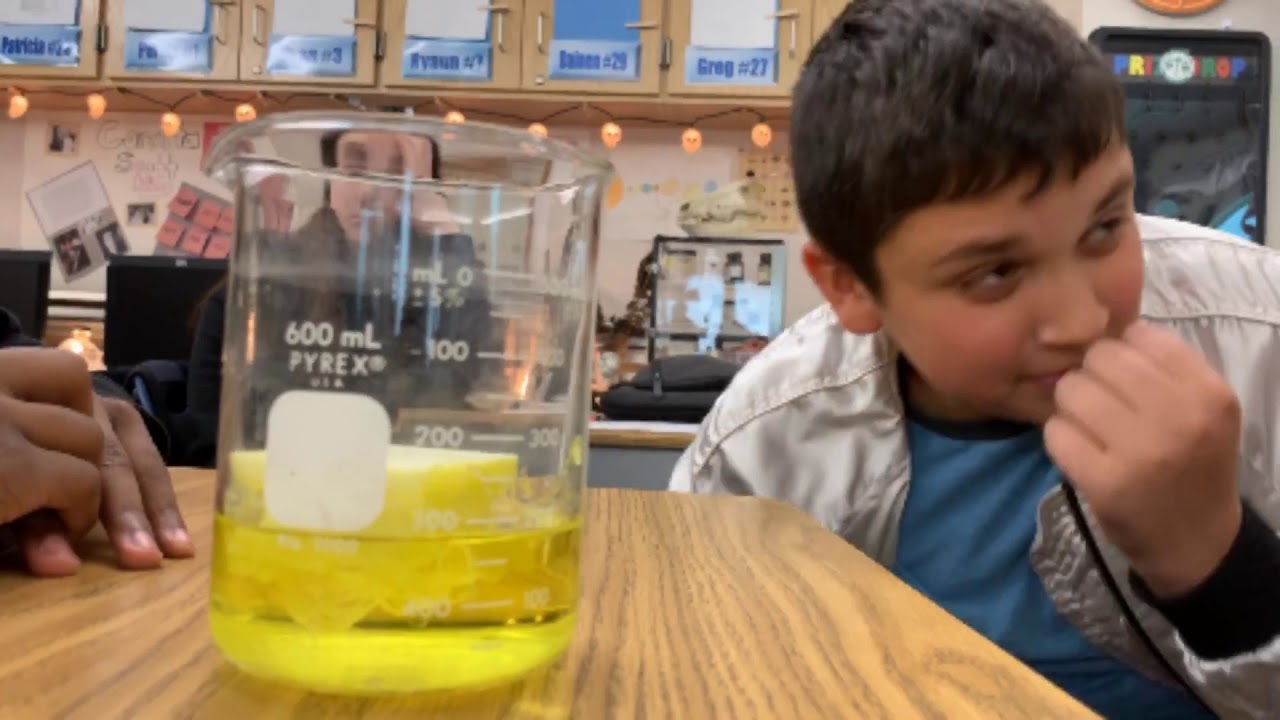 Solubilization of Polystyrene into Monoterpenes in RamZland!⚗️