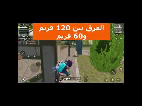 الفرق الصادم بين 60 فريم و120 فريم في ببجي موبايل