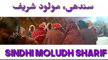 New Sindhi Moludh Sharif سندھی مولود شریف 