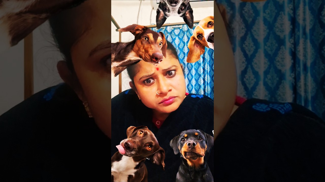 mama&items 😂funny moments😂dog accept my challenge 