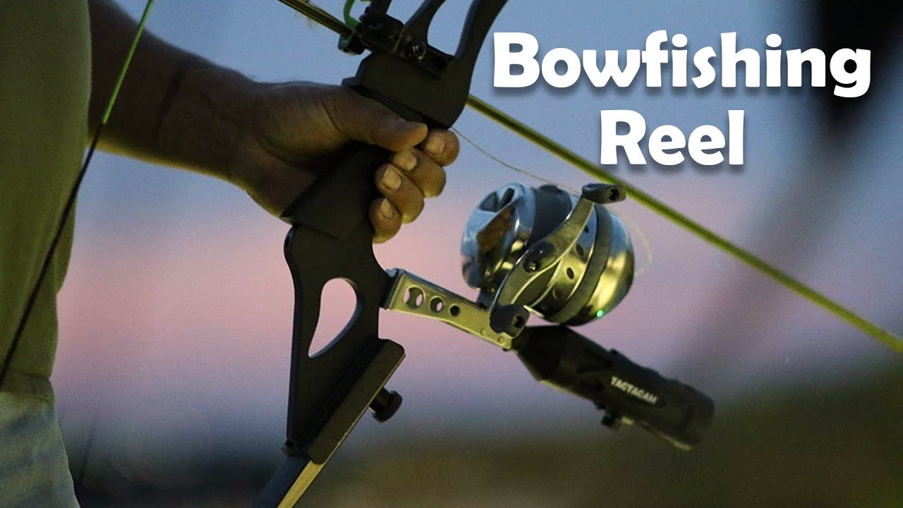 Best Bowfishing Reel for 2022 (Updated)