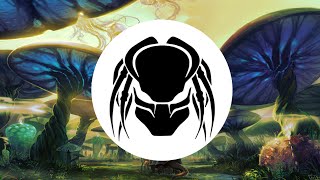 Gourski - Turtle Spin