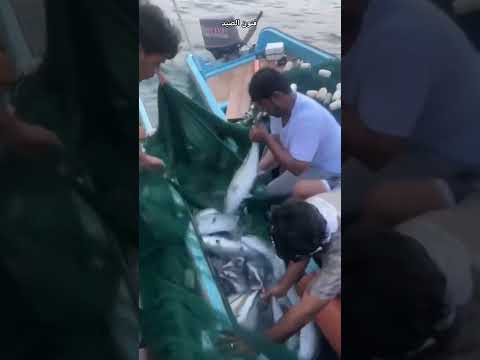 شوفو خيرات البحر رزق وفير ونعمة من رب كريم