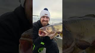 Ab nach Norwegen! 🇳🇴🎣 💪🐟​#Norwegen #Angeln #Angelshop #FishingTrip #PetriHeil"