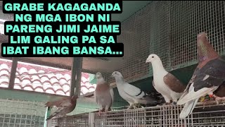 KAKAIBANG KULAY NG MGA IBON SA LOFT NI PARENG JIMI JAIME LIM GRABE KAGAGANDA...