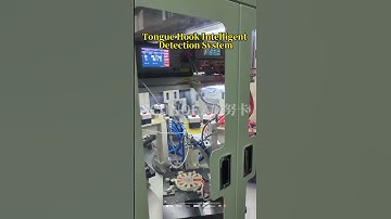 Tongue Hook Intelligent Detection System