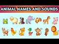 These Are The Sounds Of Animals For Kids AJLS | Edufam Kids Song And Nursery Rhymes #animals #africa
