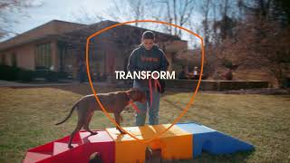 We Go There For Animals