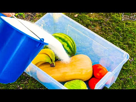 32 FOOD HACKS TO SAVE YOU MONEY AND HASSLE || HOW TO PRESERVE FOOD LONGER