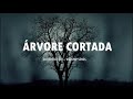 Árvore Cortada | Fundo Musical | Valesca Mayssa | Musical gospel Instrumental Para Orar e Refletir