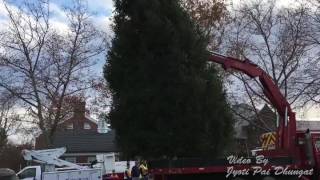 Basking Ridge Christmas Tree Being Put Up