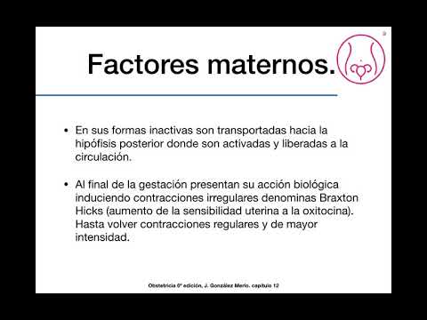 Video: ¿Qué son los factores maternos?