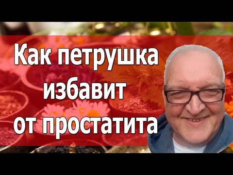 Как петрушка лечит простатит