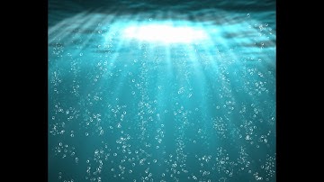 An Experimental and Numerical Study of Turbulent Bubbly Flow and Heat Transfer in a Vertical