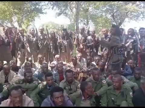 Gooticha Waraana Bilisummaa Oromoo Jajjabee