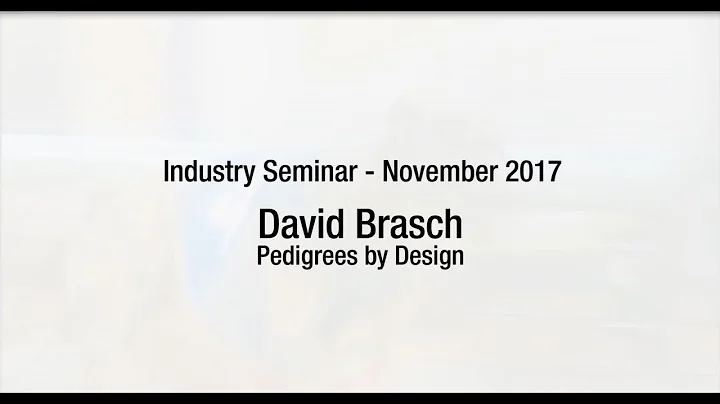 David Brasch - Industry Seminar - Nov 2017