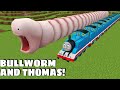 LONGEST WORM VS LONGEST THOMAS - Gameplay in Minecraft - Coffin Meme